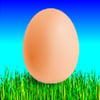 Simulation Eggs Game icon