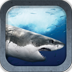 Great White Shark icon