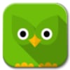 Flinger Birds icon