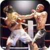 Boxing Hero icon