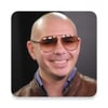 Pitbull icon