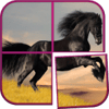 Horse Puzzle Games for Girls icon