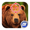 Kill Bear Summer icon