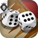 Backgammon Pro APK