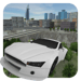 Crash Car - Alpha (Unreleased) Icon