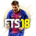 FTS 18 Icon