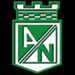 3D Atlético Nacional Icon