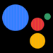 Google Assistant - X Google enrollment Icon