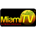 Miami TV Icon