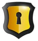 Insta Security Icon