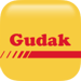 PRO Gudak cam Icon